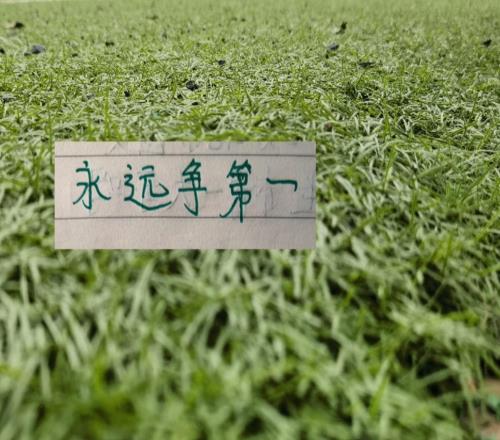 沒料到！今年北京國安最能跑的球員是塞鳥5月球隊逆襲還得靠他