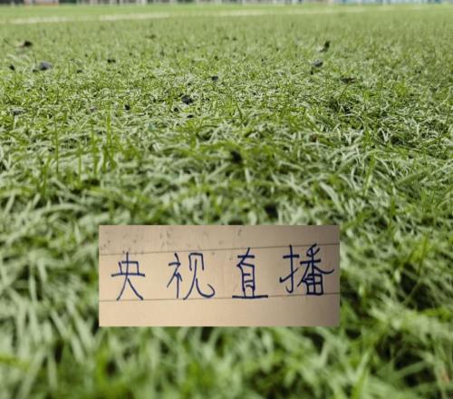 大概穩(wěn)了！中超第9輪重頭戲申花跟領(lǐng)頭羊的比賽有CCTV直播