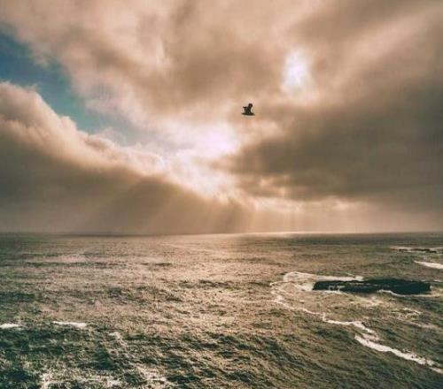 詹姆斯罰球線開(kāi)噴：大個(gè)子就別喊冤