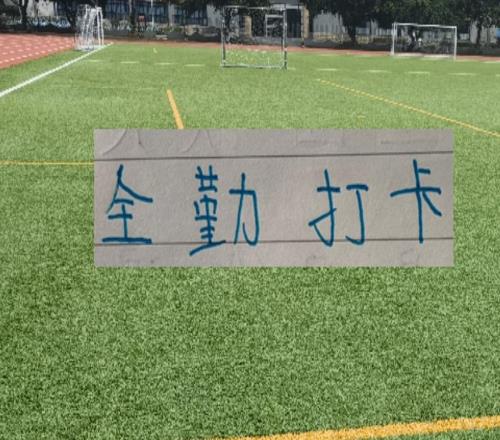 前10輪！成都蓉城打卡全勤外援就有3個申花2個，其他豪門更加少