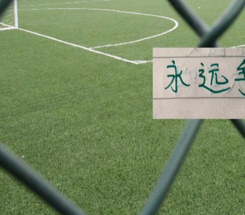 北京國安好消息法比奧林良銘李磊都能回來