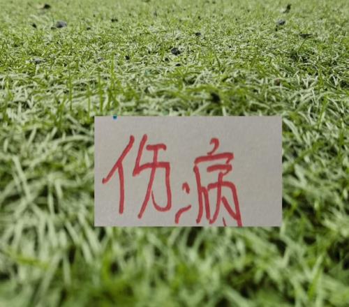 中超第11輪！上海雙雄都有2個(gè)外援肯定上不了場(chǎng)