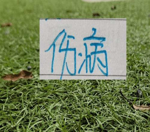 北京國(guó)安也是度過(guò)傷病潮！跟衛(wèi)冕冠軍比賽也能首發(fā)4外援