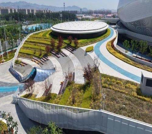 青島媒體：海牛隊主場外圍二層自由活動平臺面向全體市民開放