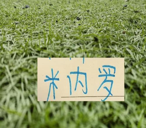 馬納法五月比賽報銷！