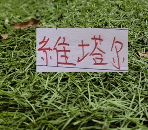 中超三大豪門依然打卡全勤只有衛(wèi)冕冠軍維塔爾北京國安孔特