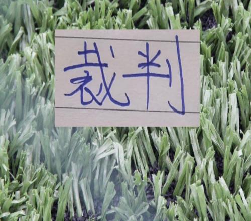 這么多輪下來！執(zhí)法北京國(guó)安比賽的裁判第12輪主裁是李海新