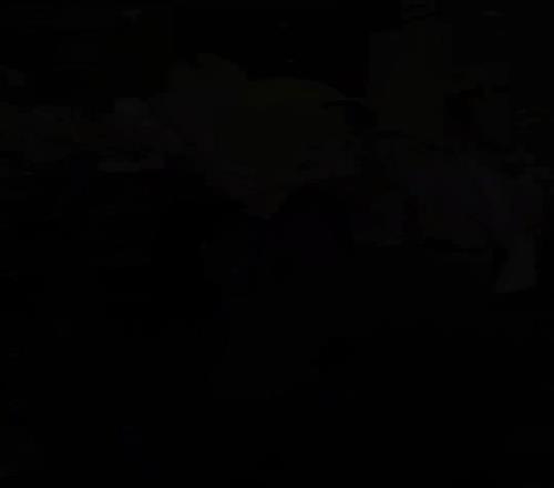 安切洛蒂抵达巴西，巴西足协主席全程陪同，球迷燃放焰火热情迎接