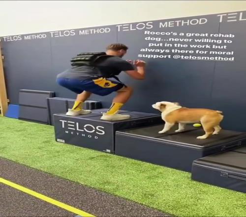 NBA最出名的小狗！汤普森爱犬Rocco近期离世