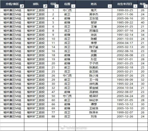 【2025中冠联赛大区赛各队报名名单】榆林赛区M组、N组