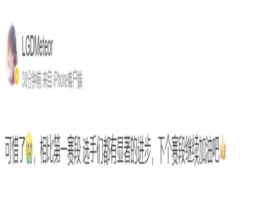 LGD教练Meteor赛后更博：可惜了，相比第一赛段选手们都有显著的进步