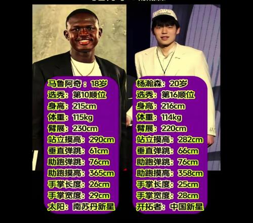 富保罗旗下两位天才中锋！杨瀚森和马卢阿奇静态天赋数据对比