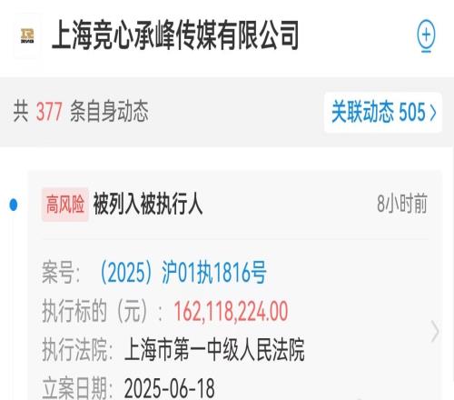 这不得最少十几亿RNG及老板姚金成等被执行1.6亿，还有十几个官司在打