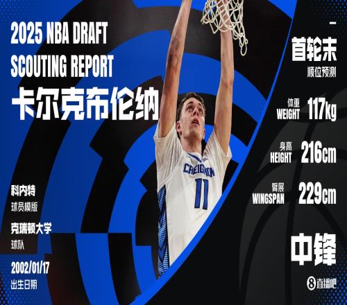 缓慢而强大卡尔克布伦纳：22中20的饼王3D中锋的影子