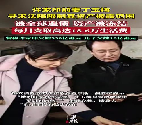 真假许家印前妻被全球追债，曾称许家印欠她300多亿