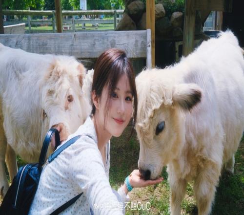 牛牛你要干什么！主播蛋宝晒照：哞
