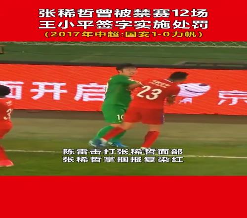 当年张稀哲曾掌掴染红被禁赛12场，王小平签字实施处罚