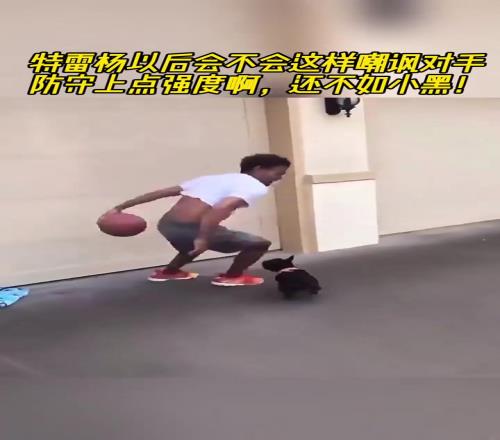 特雷杨以后的垃圾话：你还没狗防的好！