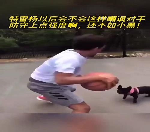 还是你会玩特雷杨遭遇小黑狗狗防守，花式运球戏耍+嘲讽