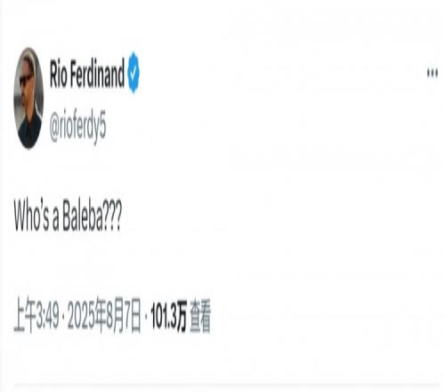 媒体称曼联有意巴莱巴，费迪南德社媒调侃：巴莱巴是谁
