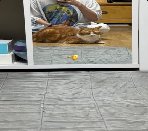 肉眼可见的壮了许多！Deft休假更新INS发布了与小猫的合照