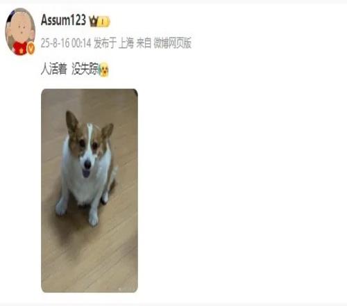 去哪试训了Assum时隔一个月之后更新动态：人活着，没失踪