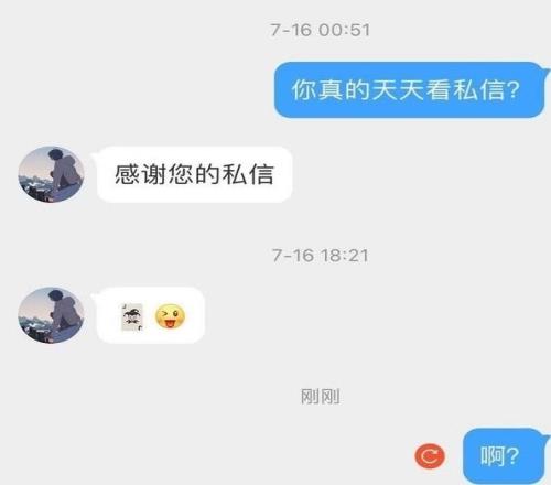 一贯如此网友发现Elk回复私信也爱用”小丑牌“回复对话