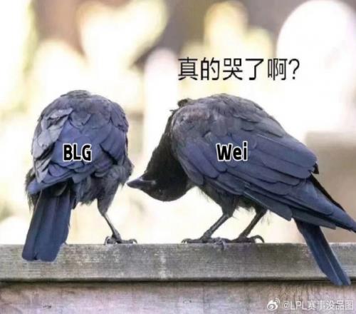 理性讨论：作为目前LPL纸面实力最强的全华班BLG，为什么风评如此之差