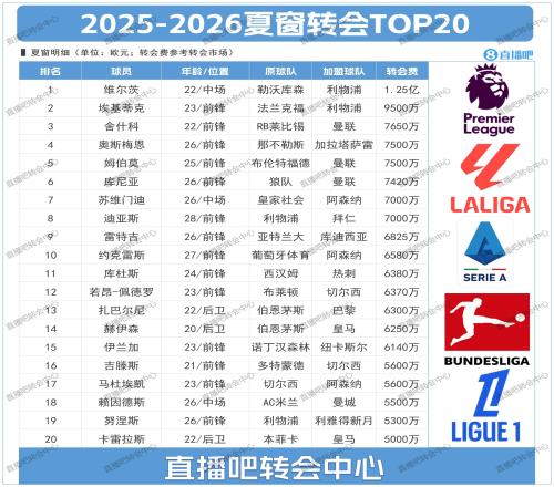 夏窗目前转会TOP20维尔茨1.25亿标王利物浦占据前二前6曼联3席