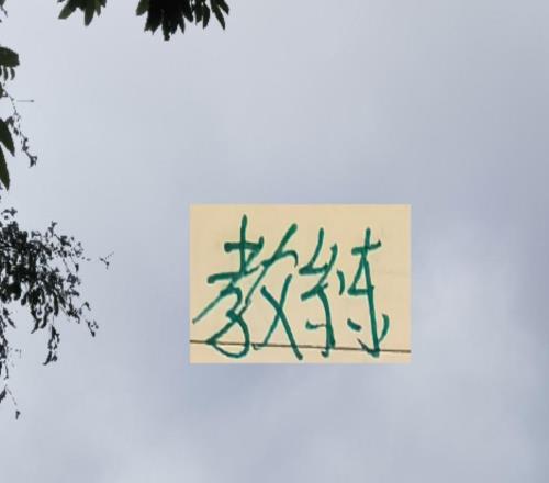 越折腾越能拿冠军！五年来海港4次换教练4夺冠军