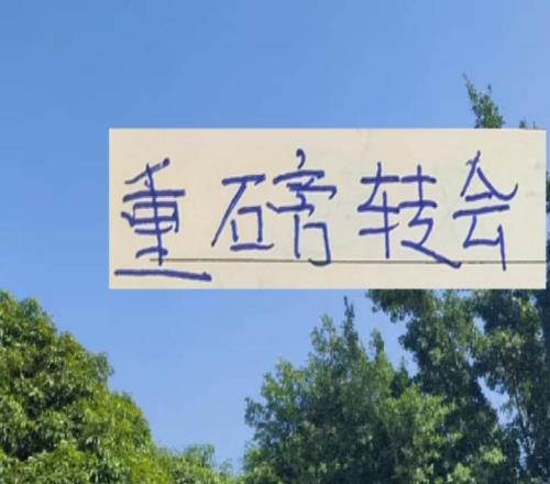 申花+深圳新鹏城大鱼都上岸后面中超还有哪家会有重磅转会