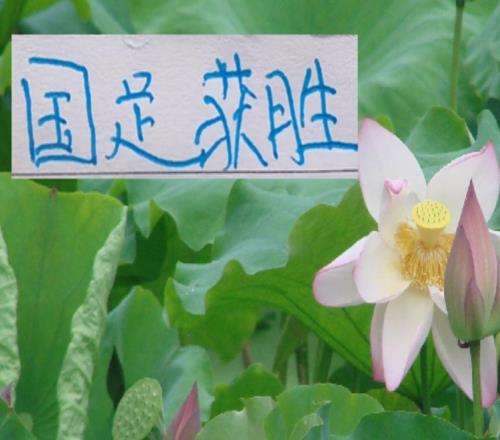 不容易呀国足赢球啦！申花买新外援还在谈判切尔西换帅马上大胜