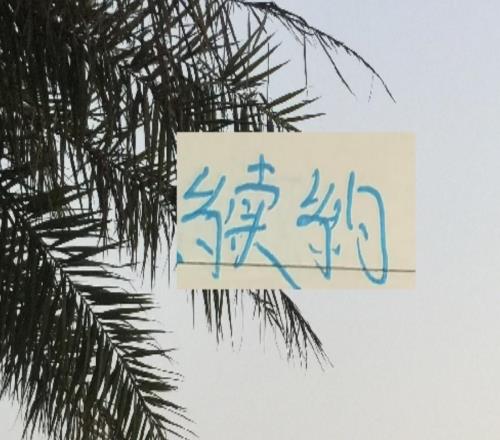 北京国安官宣两波内援中超前4他们80后老将也是最多