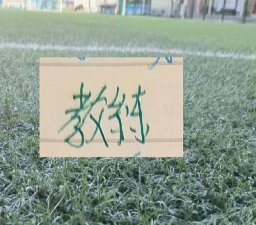 2025赛季北京国安的塞蒂恩+拉米罗算是成功的吗