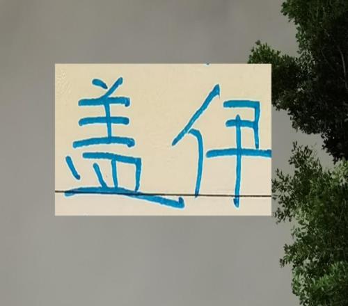 都是塞内加尔前锋！盖伊能超越登巴巴在申花34个进球吗