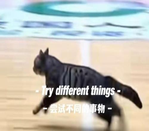 猫猫也想打球，广东四川CBA比赛中场地内跑进一只小猫