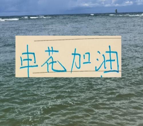 看点拉满！申花两条大鱼上岸后，他们目前是中超身价第一球队