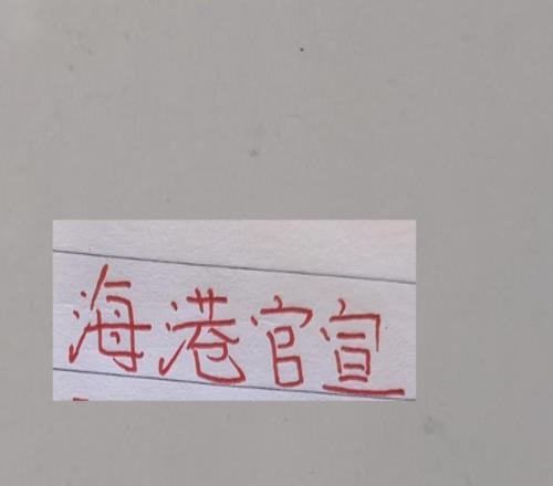 海港离开四人都得到官宣李昂也是跟马莱莱成为队友