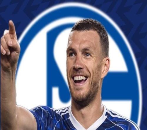 哲科加盟沙尔克“万事俱备”