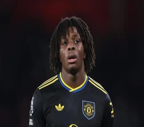 TA：曼联球员多古腿筋受伤，预计伤缺10周