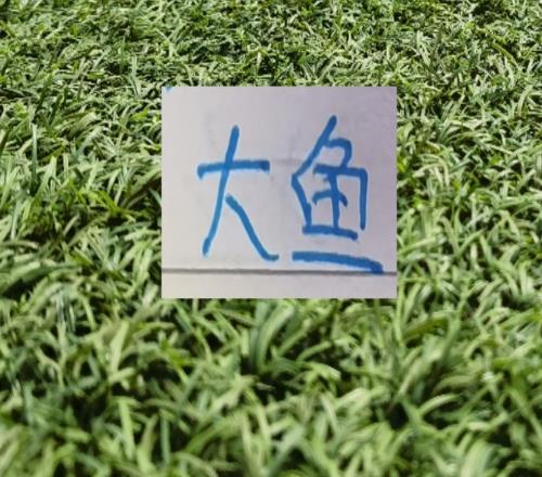 U23亚洲杯后去年中超拦截王杨希最终会去哪里