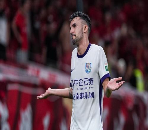 申花津门虎为何遭重罚媒体人热议：烂兄烂弟，再次受罚属于惯犯