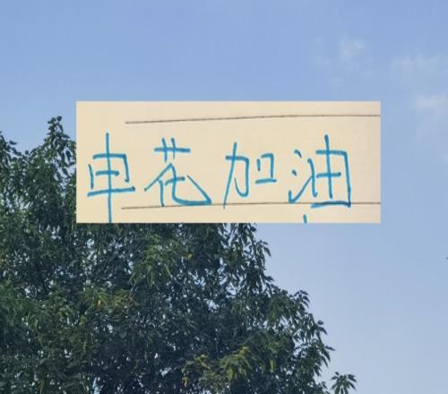 新赛季！天津跟申花一起负10分起步谁会先拿到积分呢