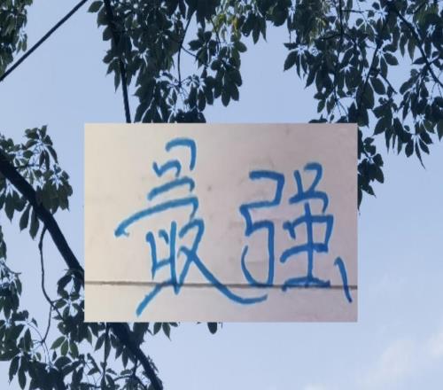 2025中超最强中卫退役！在32岁能闯的年纪他选择回归家庭