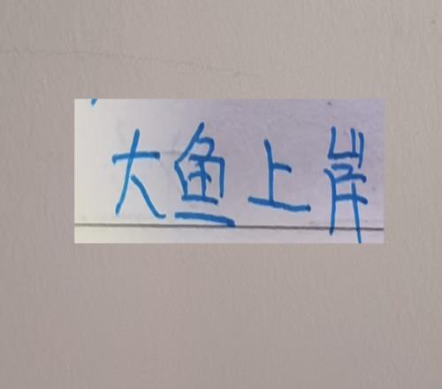 还以为上海双雄外援身价是最高的，没想到升班马比他们还猛