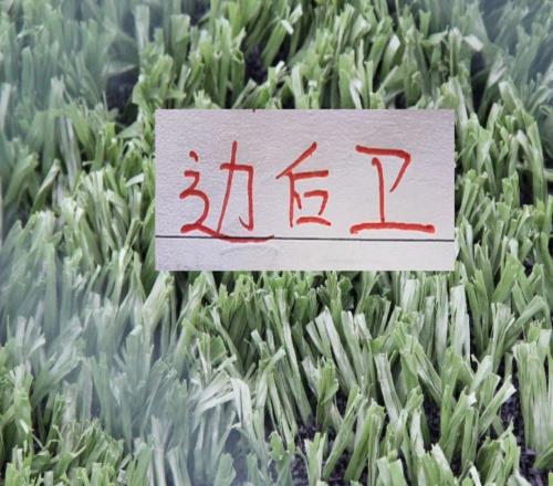 ���������г����Ŵ������Աߺ�����ϣ�����껨���ɷ�����������