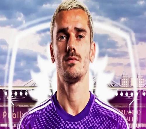 ��������Ҷ����������������ͬ�������������ϻ�ơ�