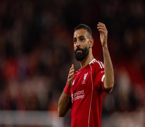 �������������������º�����������