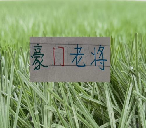 �г���������޽���û�뵽����֮�������ǽ����������֮һ