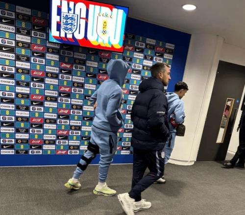 �������������ɭ�ɱ߷���Ҷ�������˧���������������ػ�